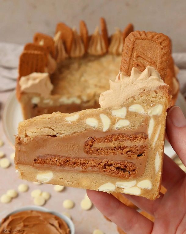 Biscoff Cookie Crust Pie
