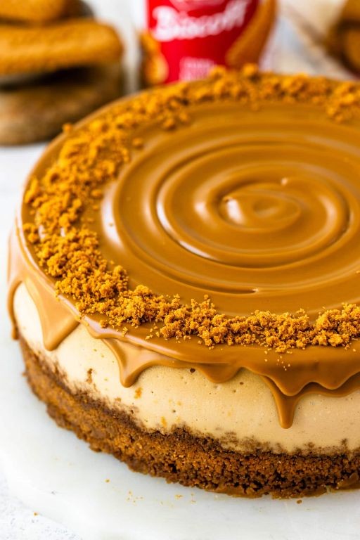 Biscoff Cookie Swirl Cheesecake