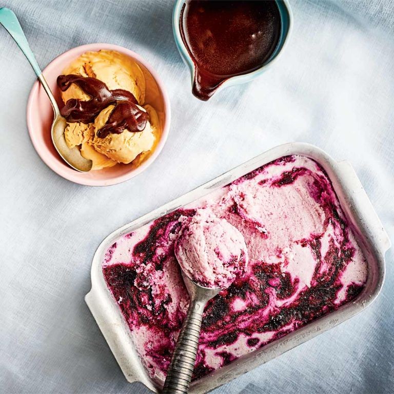 Blueberry Honey Frozen Yogurt