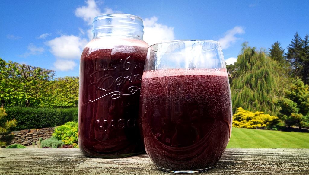 Blueberry Switchel with a Hint of Lime
