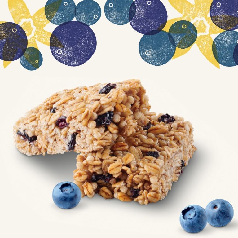 Blueberry Vanilla Raw Granola Bars