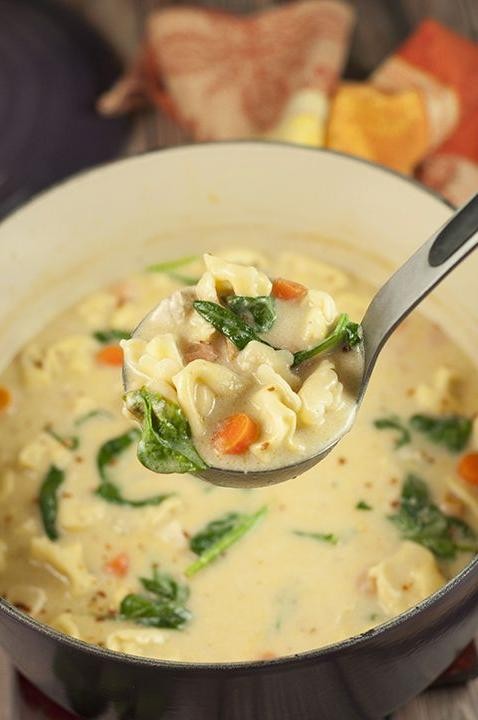 Chicken Alfredo Tortellini Soup