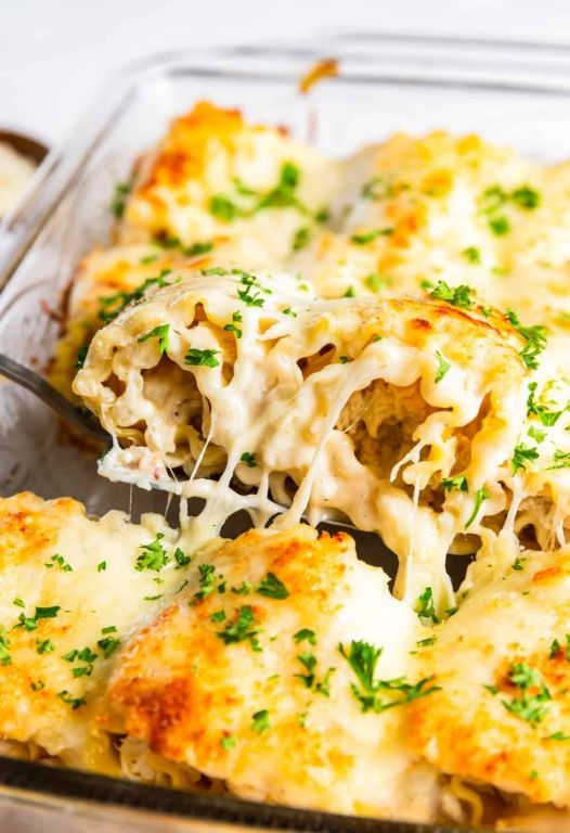 Chicken and Mozzarella Lasagna Rolls