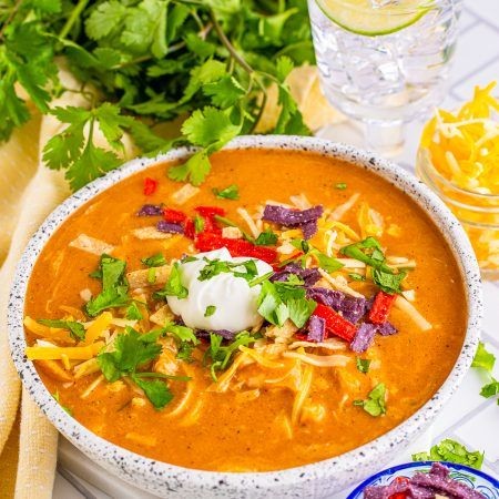 Chilis Chicken Tortilla Soup with Chipotle