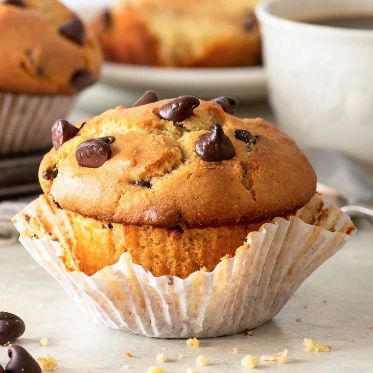 Chocolate Chip Gluten Free Muffins