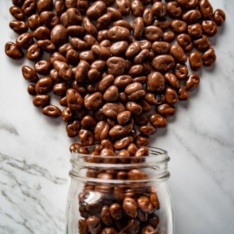 Chocolate Covered Raisins with Toasted Hazelnuts