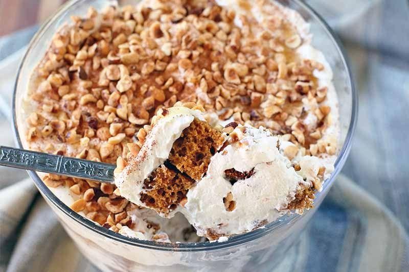 Chocolate Hazelnut Pumpkin Trifle