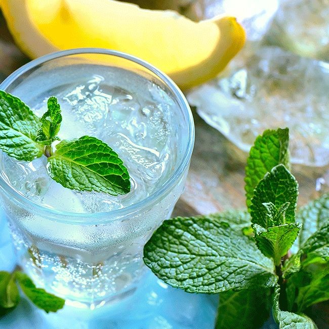 Citrus Mint Cooler