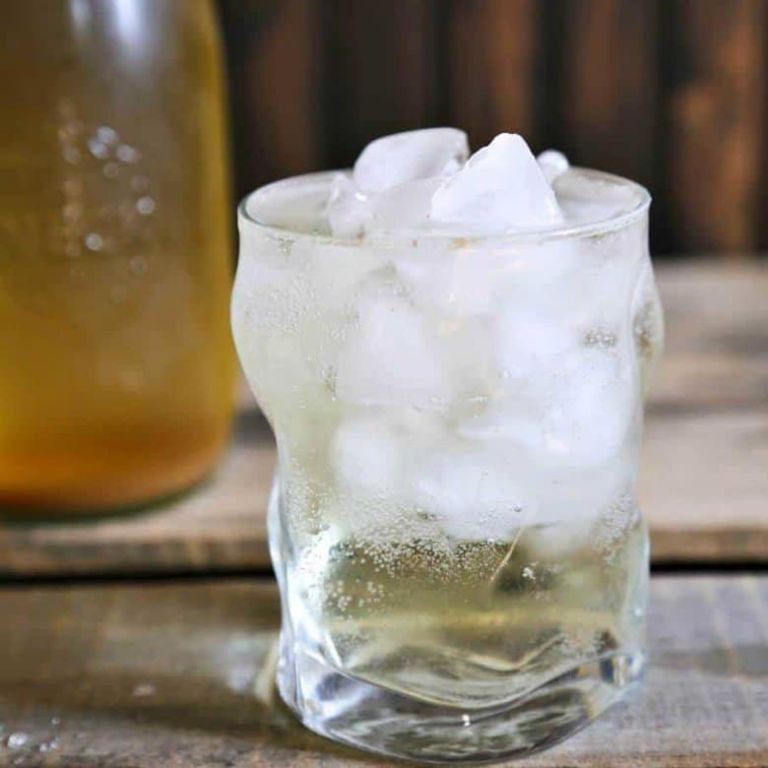 Classic Ginger Switchel with Apple Cider Vinegar