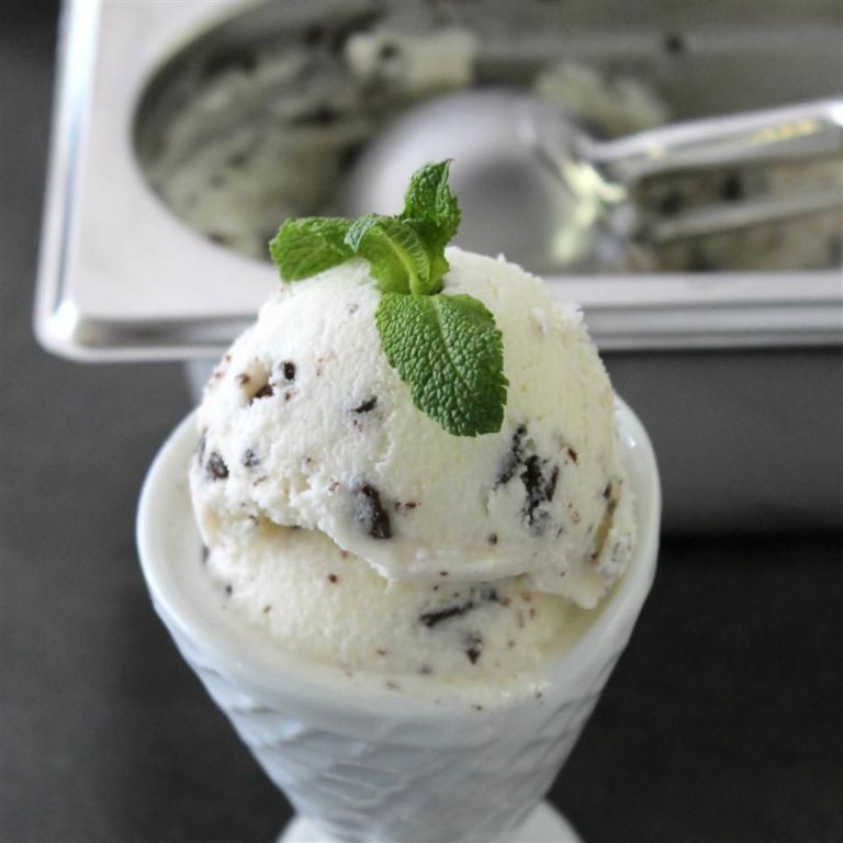 Coconut Milk Mint Chip Ice Cream