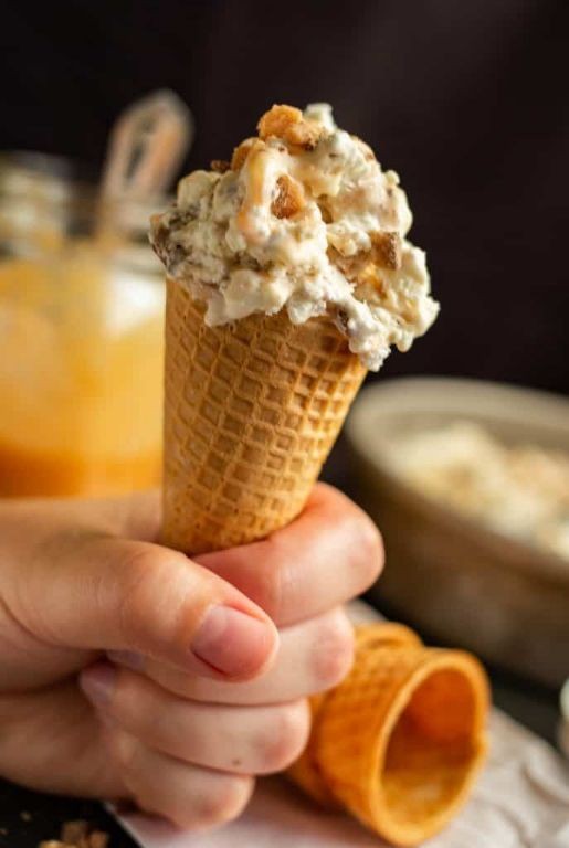 Coconut and Caramel Swirl Ice Cream