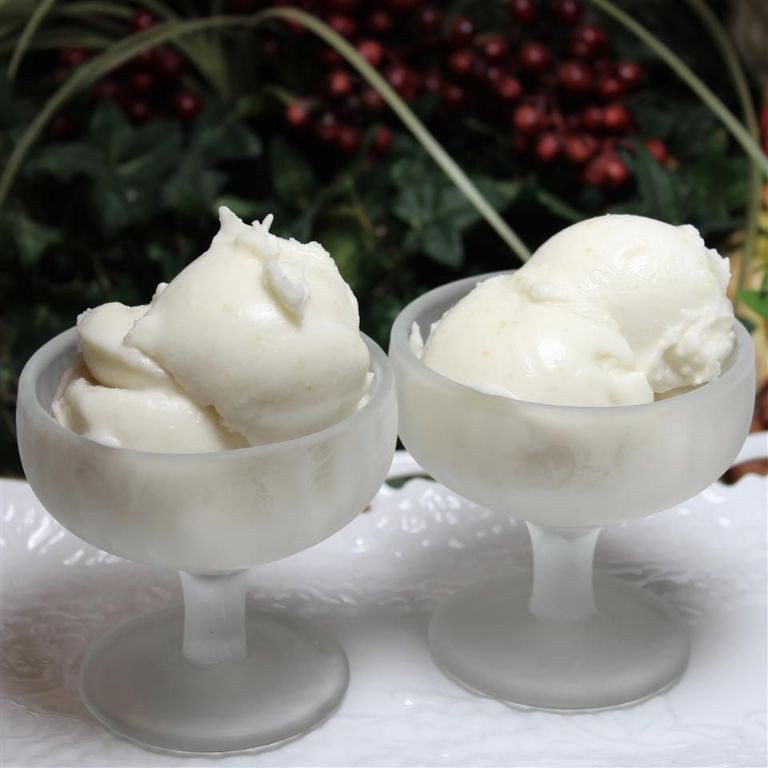 Coconut and Lime Sorbet