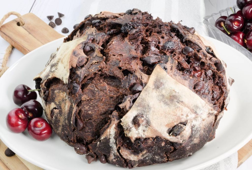 Dark Chocolate Cherry Sourdough Cake