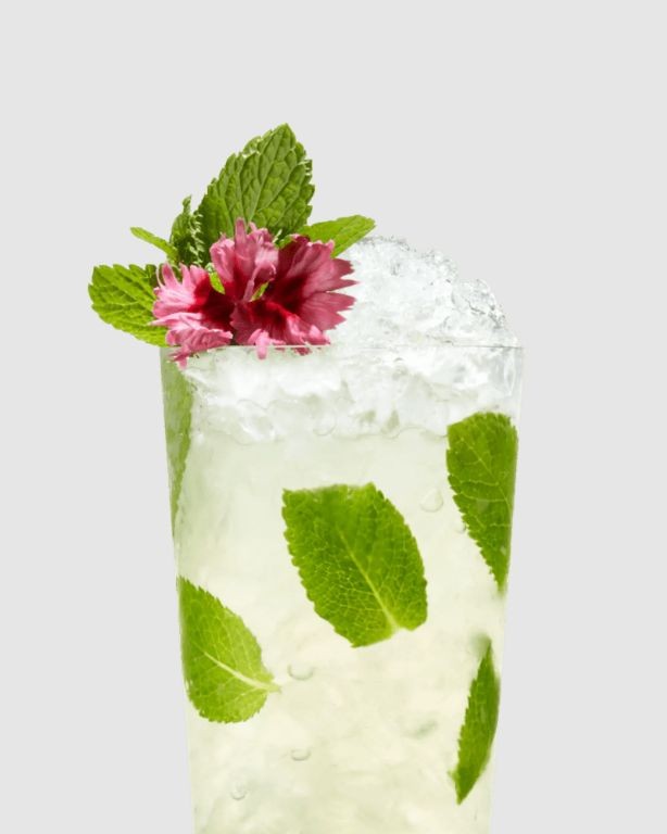 Elderflower Mojito