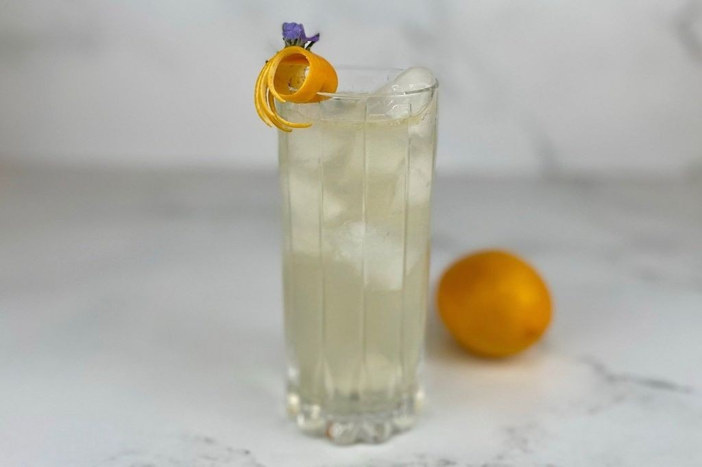 Elderflower Vodka Tonic