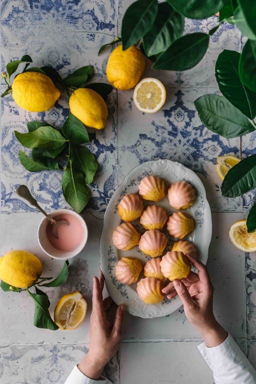 French Lemon Madeleines