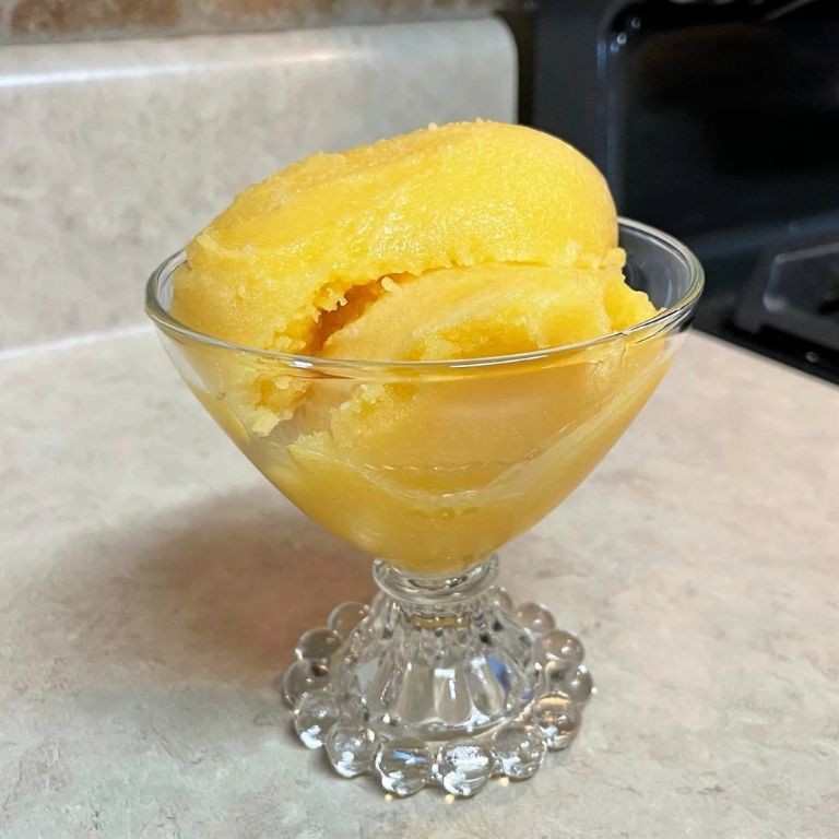 Fuzzy Navel Sorbet