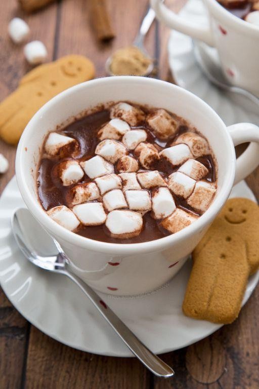 Gingerbread Hot Chocolate Punch