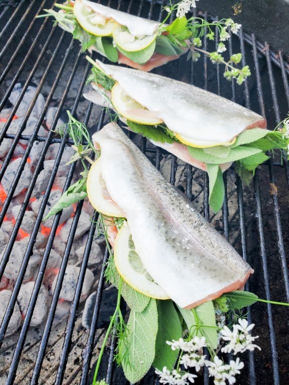 Grilled Rainbow Trout with Herbs