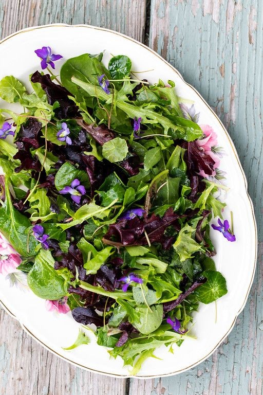 Herb-Infused Garden Salad