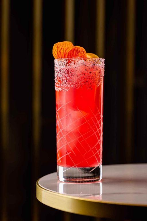 Hibiscus Paloma