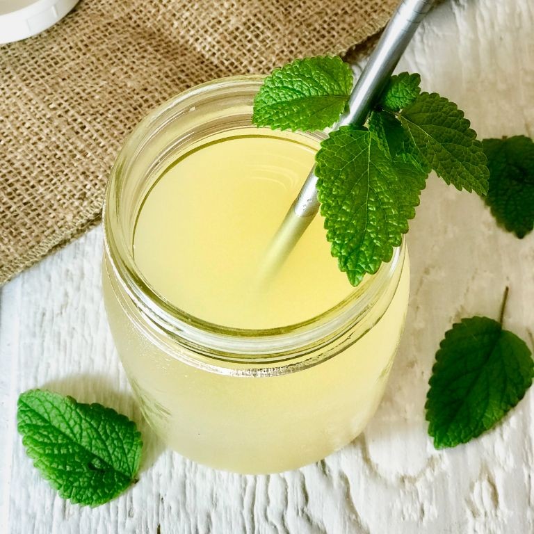 Maple Syrup Switchel with Fresh Mint