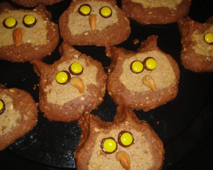 Owl Face Oatmeal Cookies