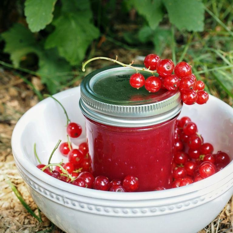 Red Currant and Honey Jelly