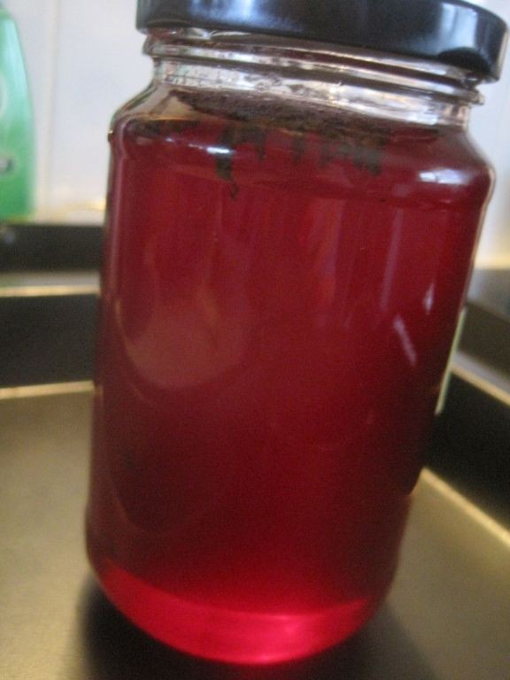 Rhubarb Mint Jelly Jam