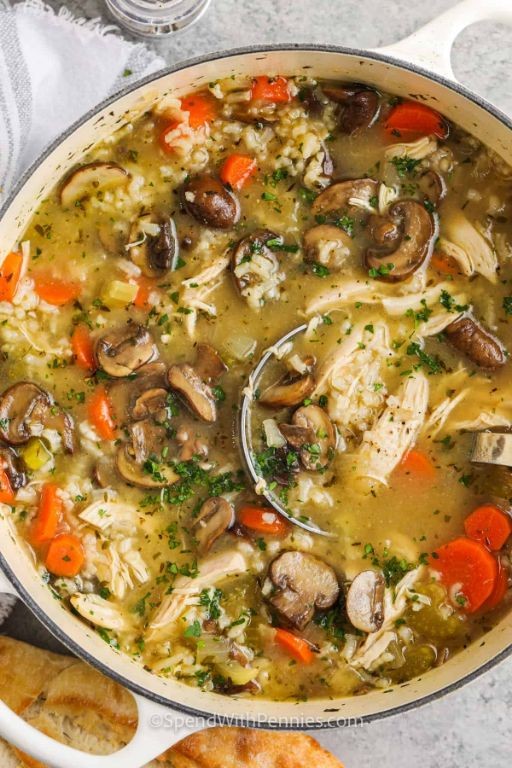 Savory Shredded Chicken and Mushroom Soup