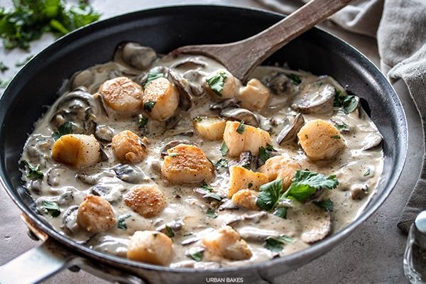 Scallops with Creamy Mushroom Sauce