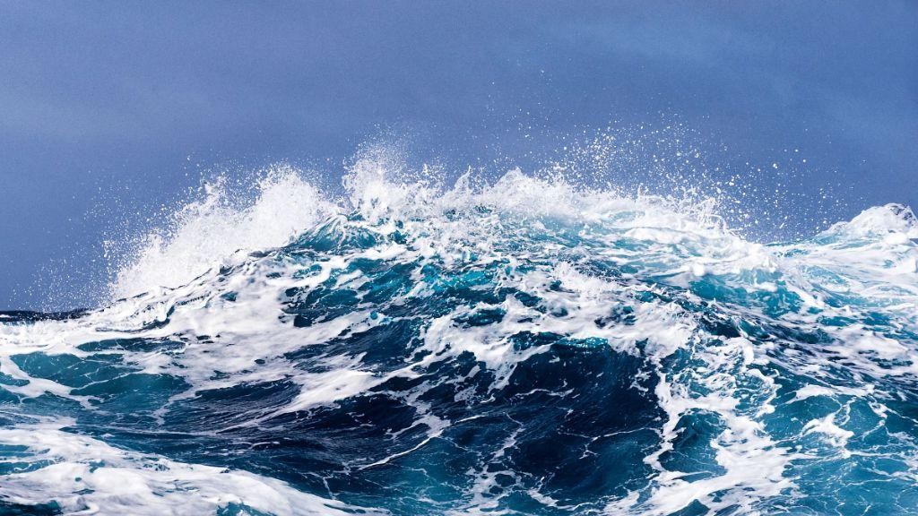 Sea Breeze