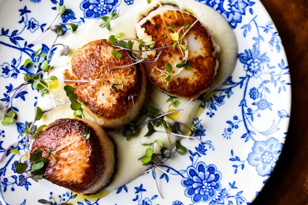 Seared Scallops with Cauliflower Puree