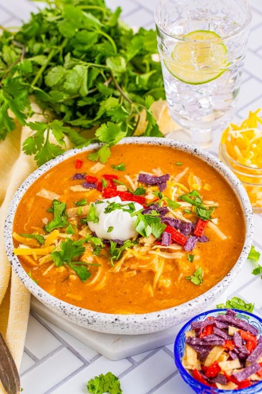 Slow Cooker Chilis Chicken Tortilla Soup
