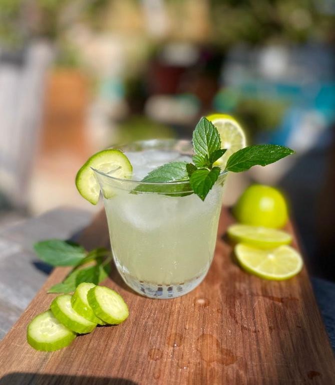 Sparkling Cucumber Mint Gin Fizz