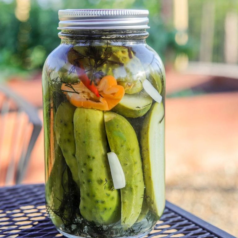 Sunchoke Pickles with Dill