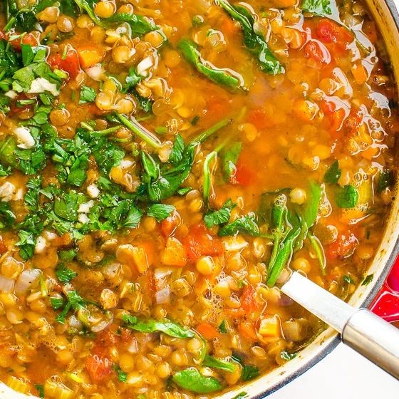 Tomato Spinach Lentil Soup