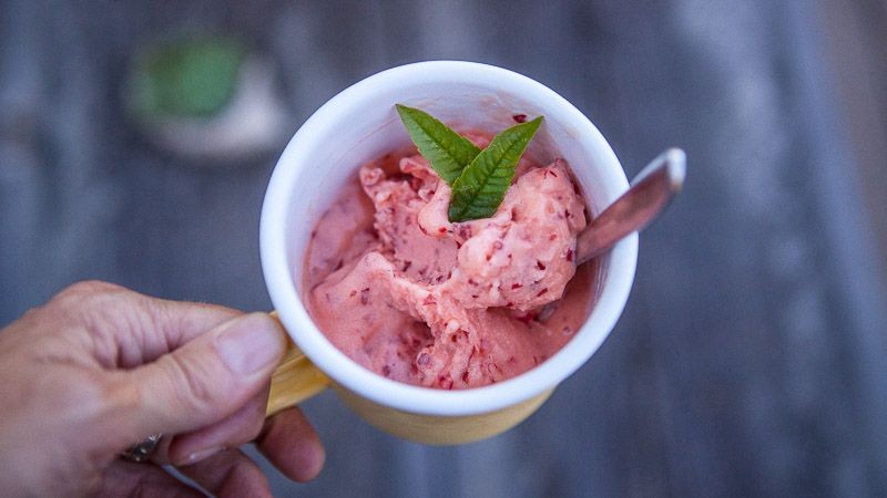 Wild Plum Sorbet with Mint Garnish