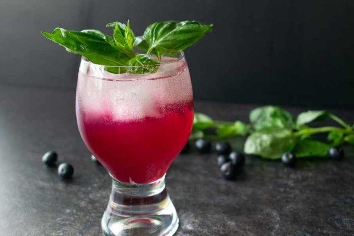 Blueberry Lemon Vodka Gimlet