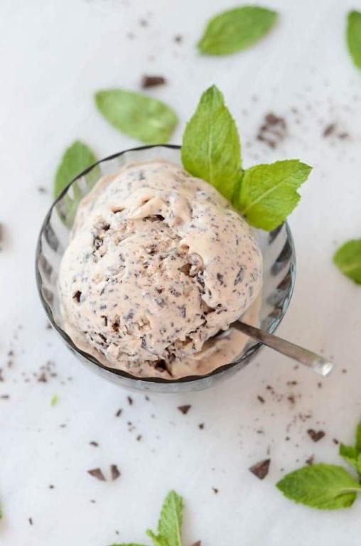 Fresh Mint and Dark Chocolate Ice Cream