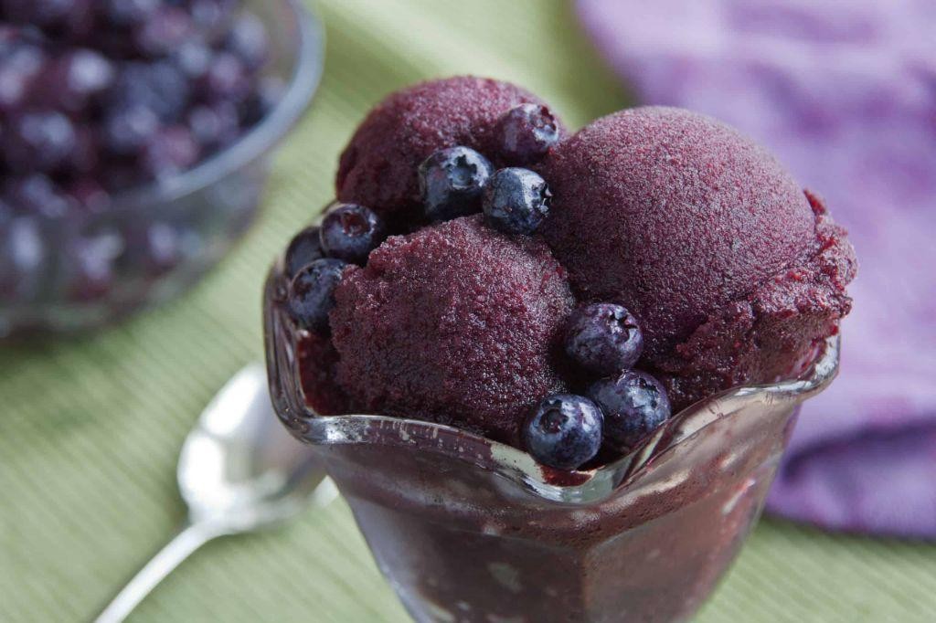 Frozen Blueberry Sorbet