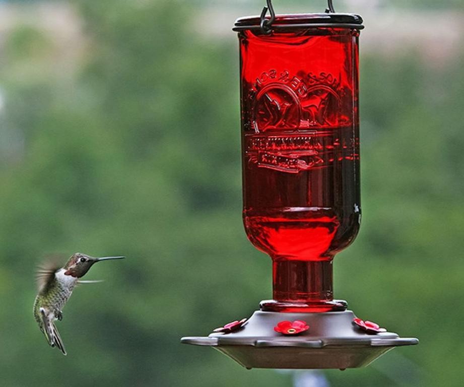 Herbal Mint Hummingbird Elixir