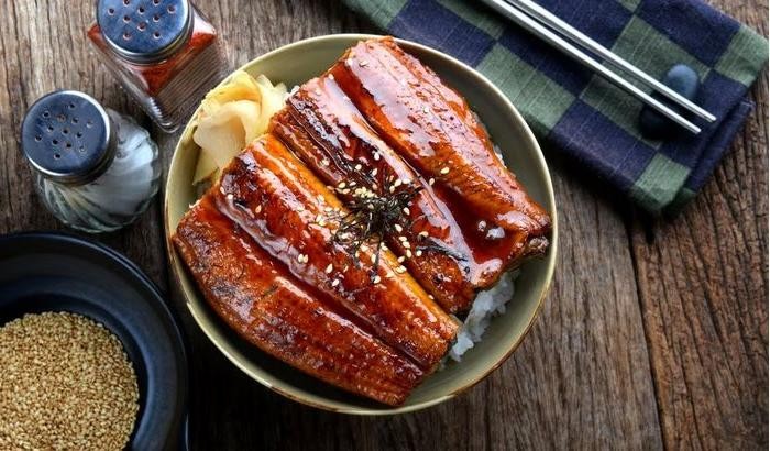 Japanese Unagi Don Rice Bowl