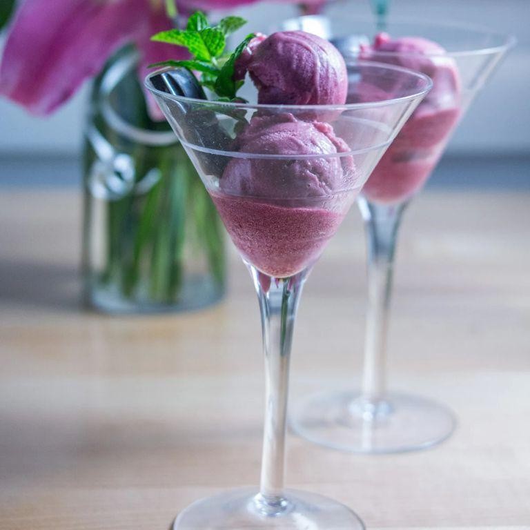 Plum Sorbet with Fresh Mint Garnish
