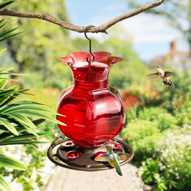 Pomegranate Hummingbird Nectar