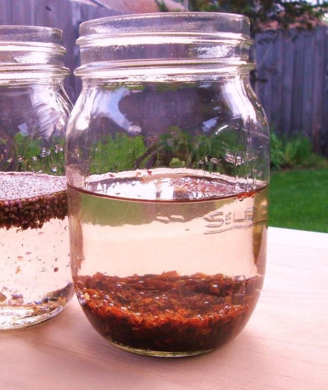 Rose Hip Infused Vodka Cocktail