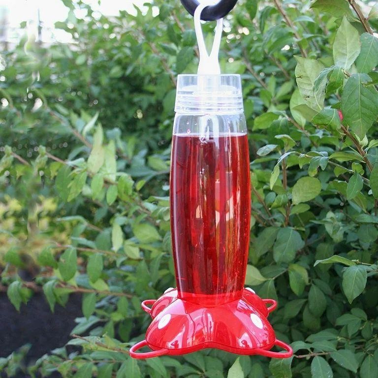 Rose Petal Hummingbird Nectar