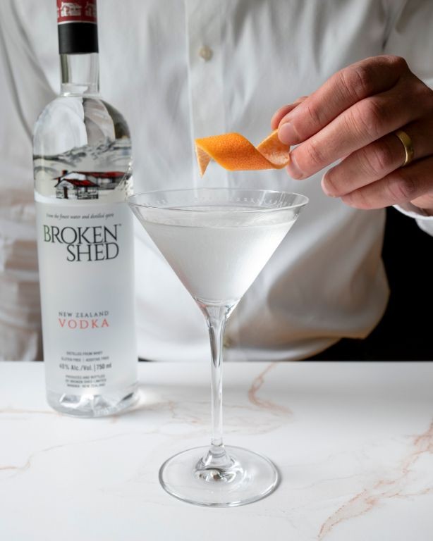 19 Classic Vodka Martini Recipes Refreshing
