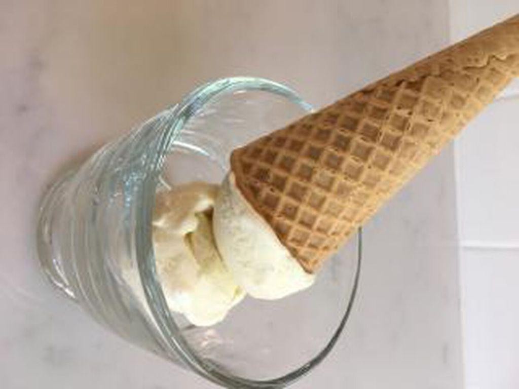 Vanilla Stevia Ice Cream
