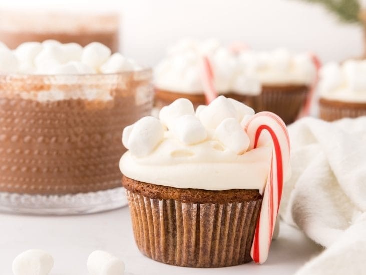 Hot Chocolate Cupcakes